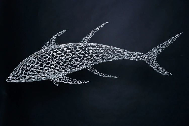 Vincent Mock, Yellowfin Tuna, 2016