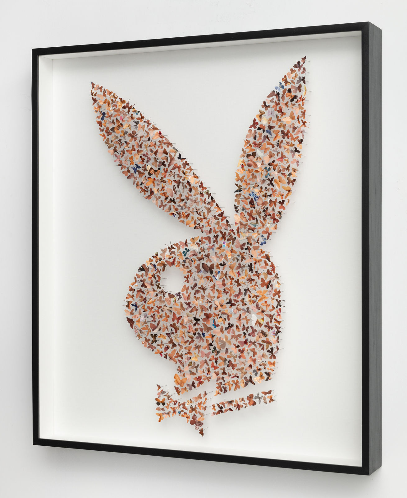 Charles Patrick, Stay Young, 2023