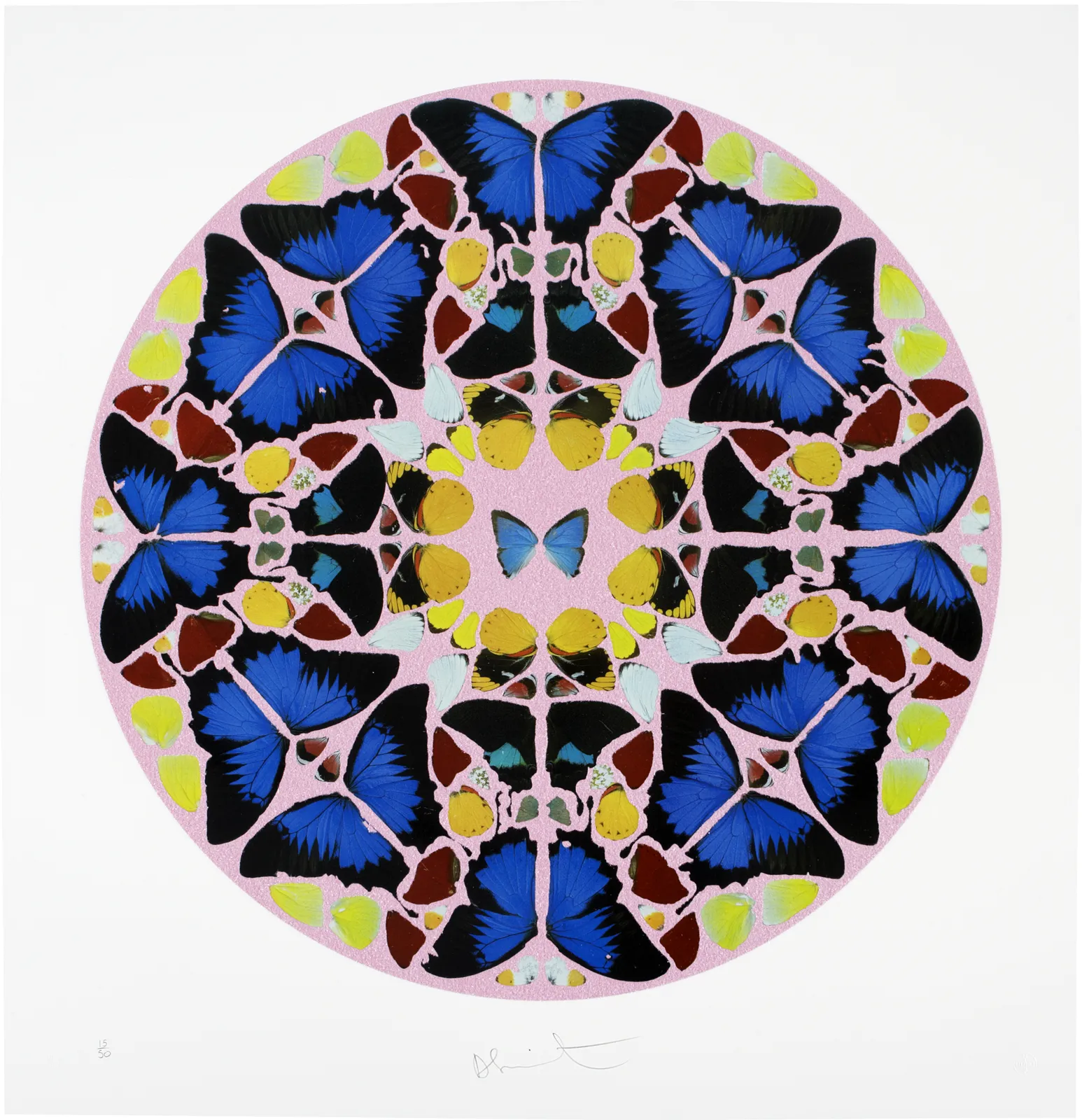 Damien Hirst, Psalm, Coeli Enarrant, 2010