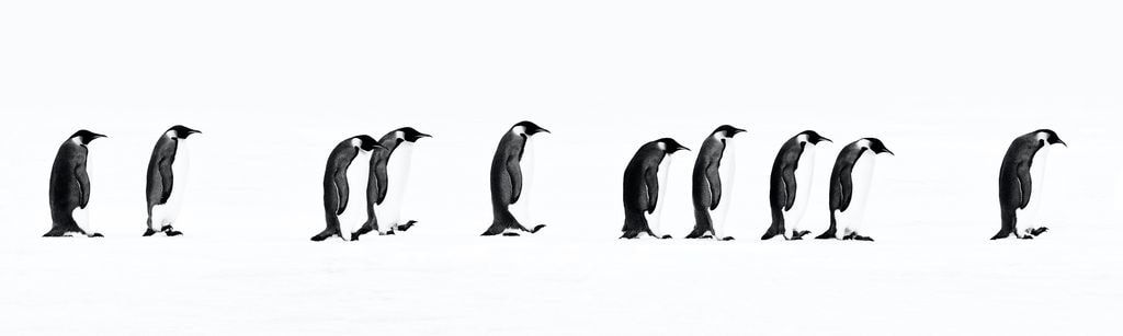 David Yarrow, The Long March, 2010