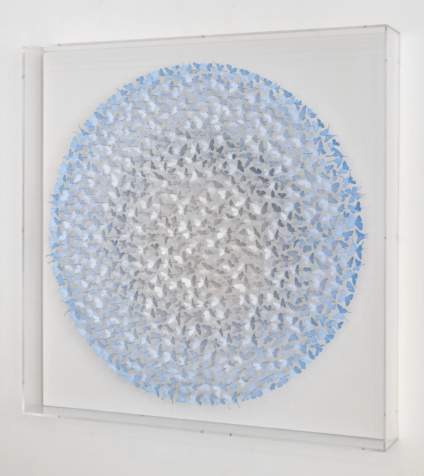 Charles Patrick, Say you love me just as I am, 2022