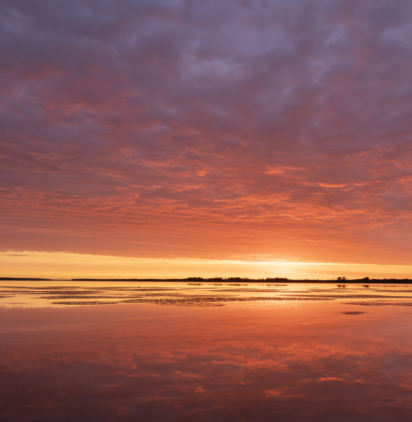 Kit Noble, Light It Up, 2025