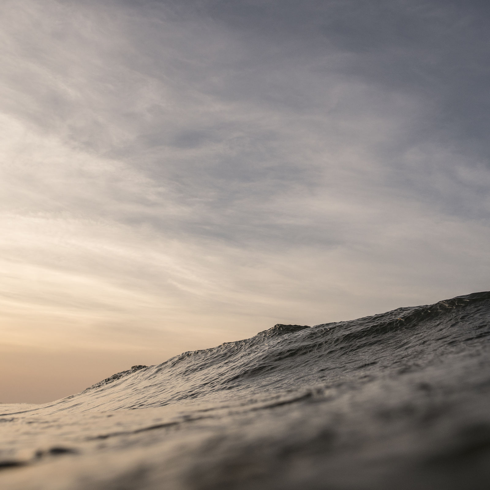 Kit Noble, Blue Ridge, 2023