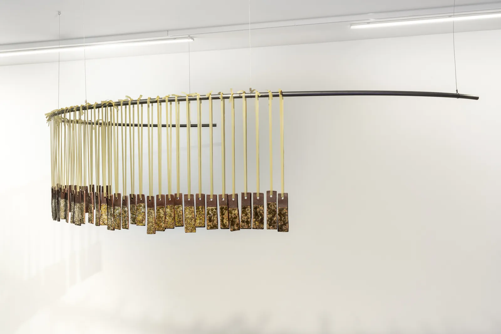 Gülşah Mursaloğlu, An Accelerated Million-Year Long Encounter of, 2024