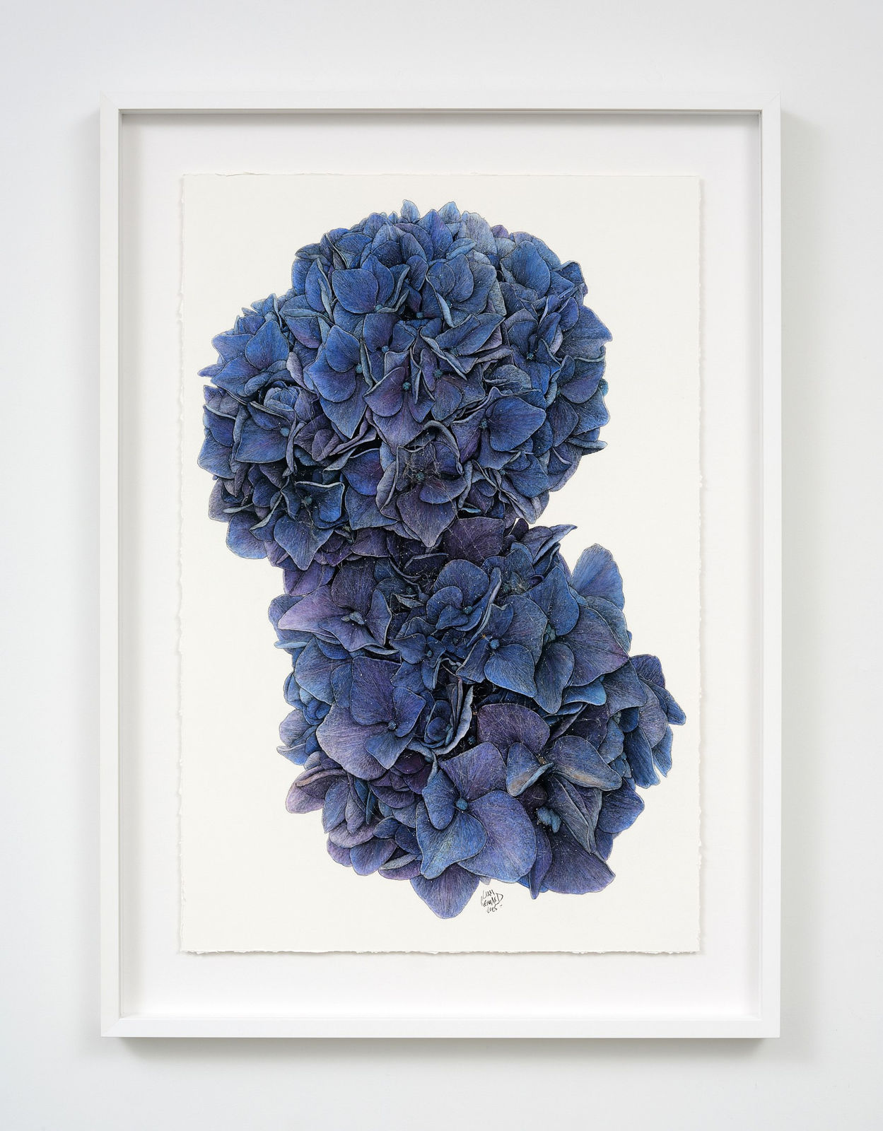 Liam Gerrard, Ayr Street, Parnell, 2025