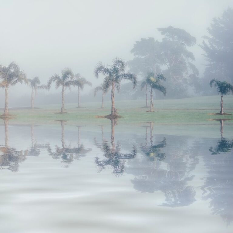 Kate van der Drift, East Tamaki, August, 2015