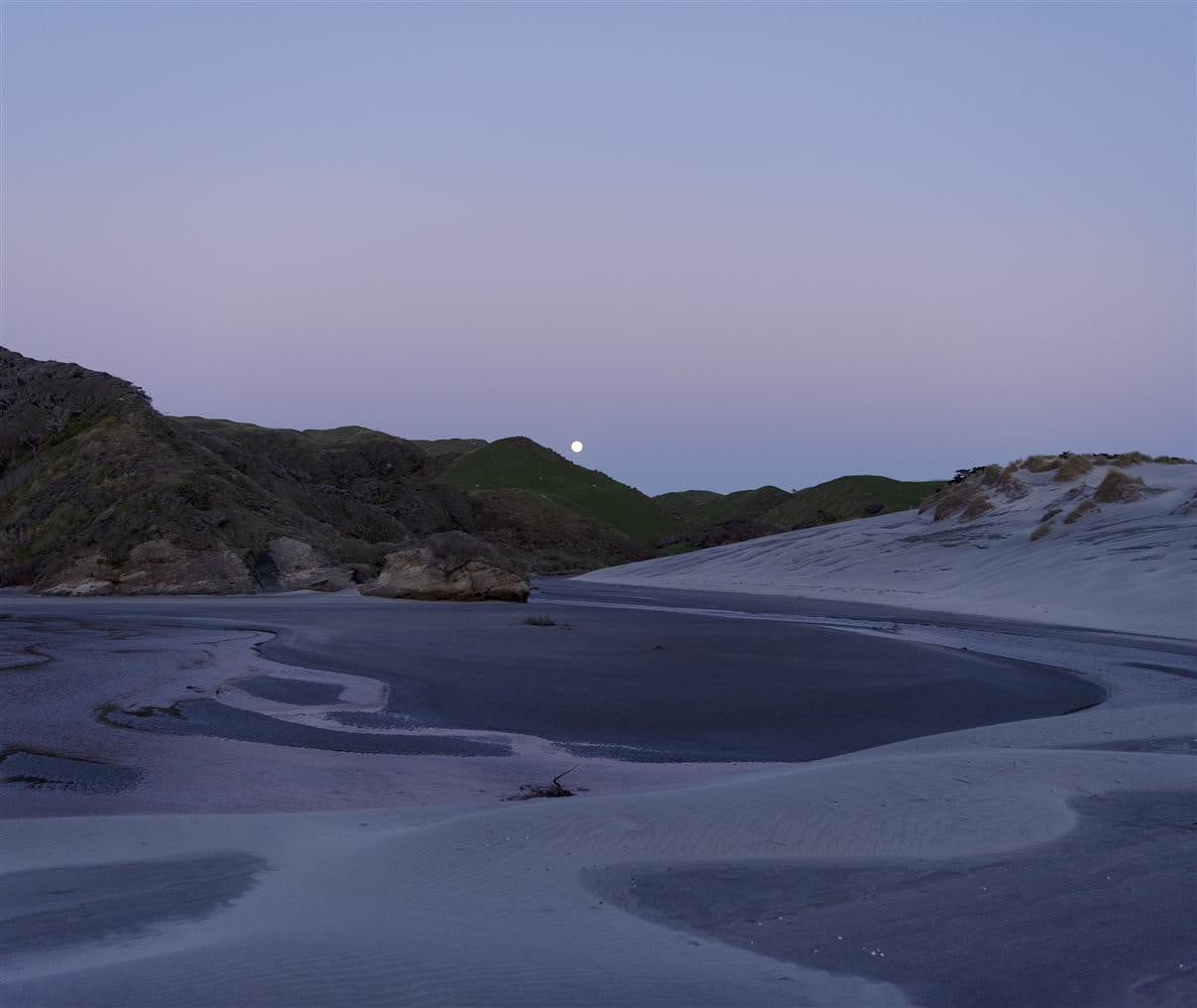 Kate van der Drift, Everything Changed to Purple, 2020