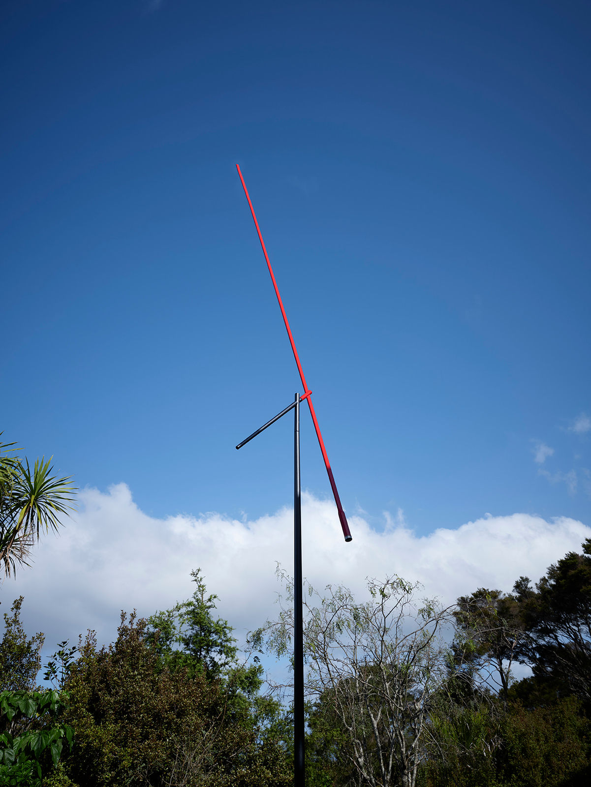 Ray Haydon, Pointer, 2020