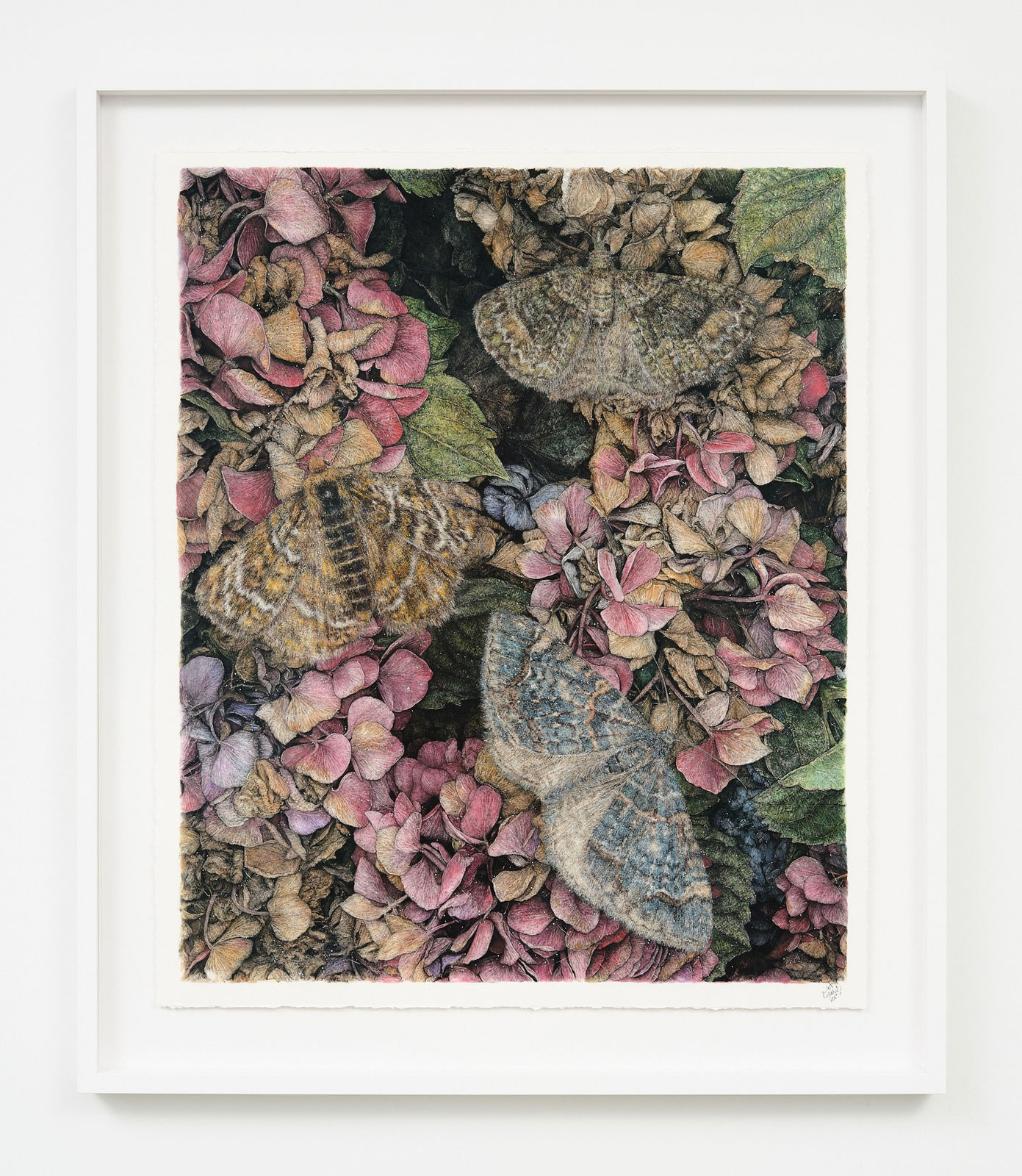 Liam Gerrard, Sottobosco III, 2025