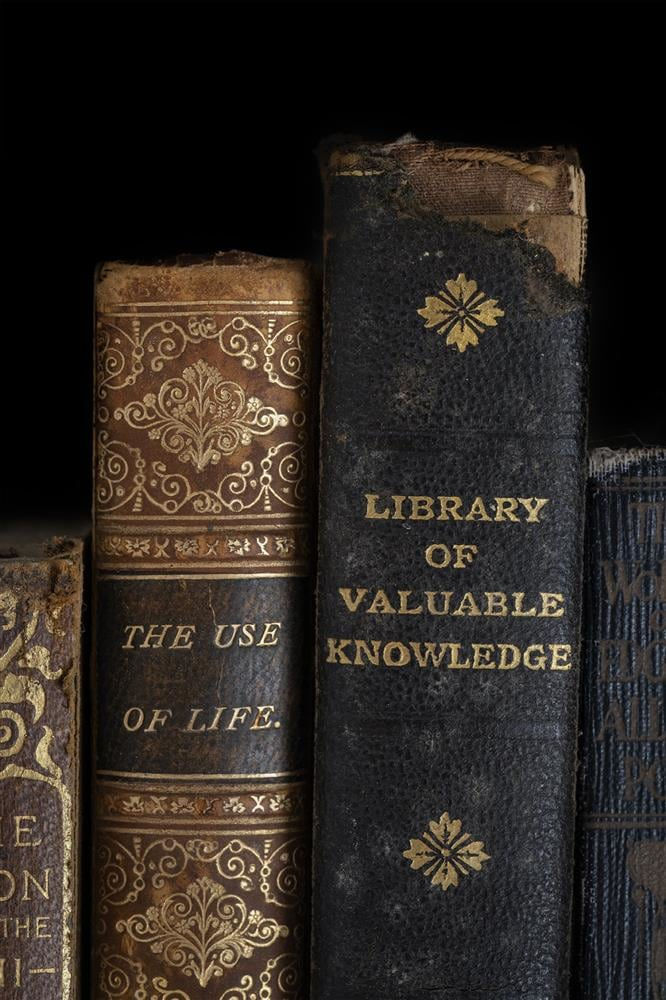 Mickey Smith, THE USE OF LIFE, 2024