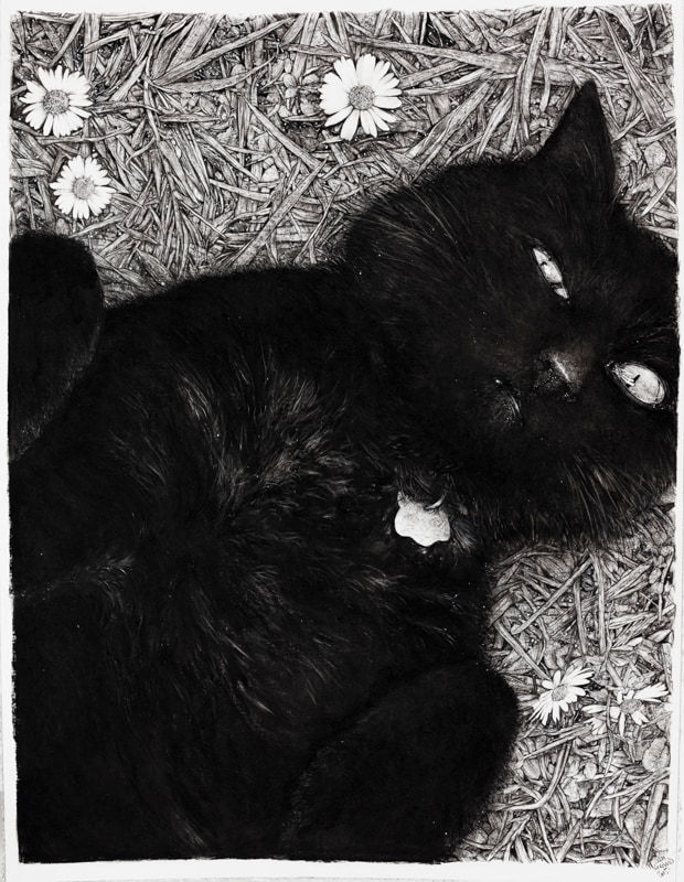 Liam Gerrard, Leroy, 2015