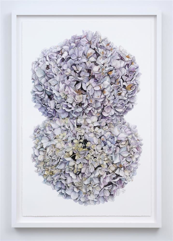 Liam Gerrard, Matai Road, Devonport, 2023