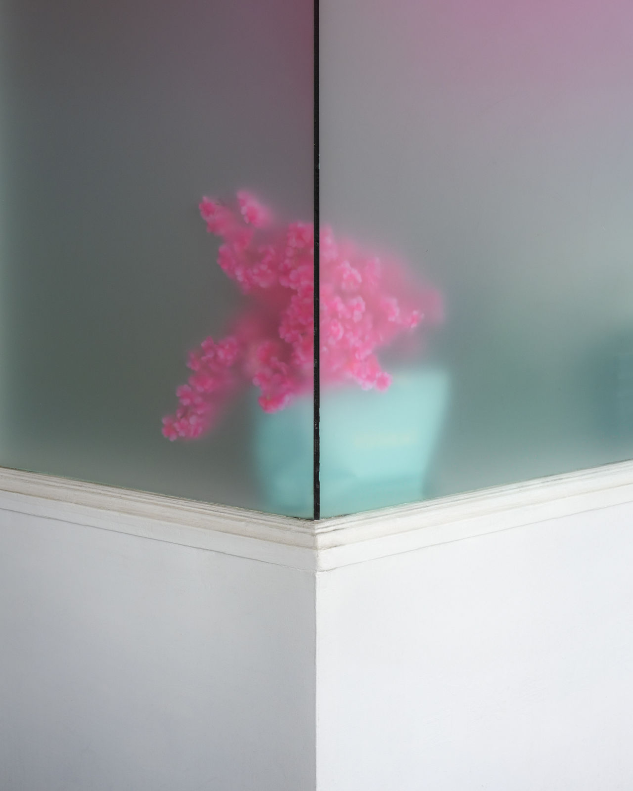 Scott Cai, Lloyd Ave, 2024