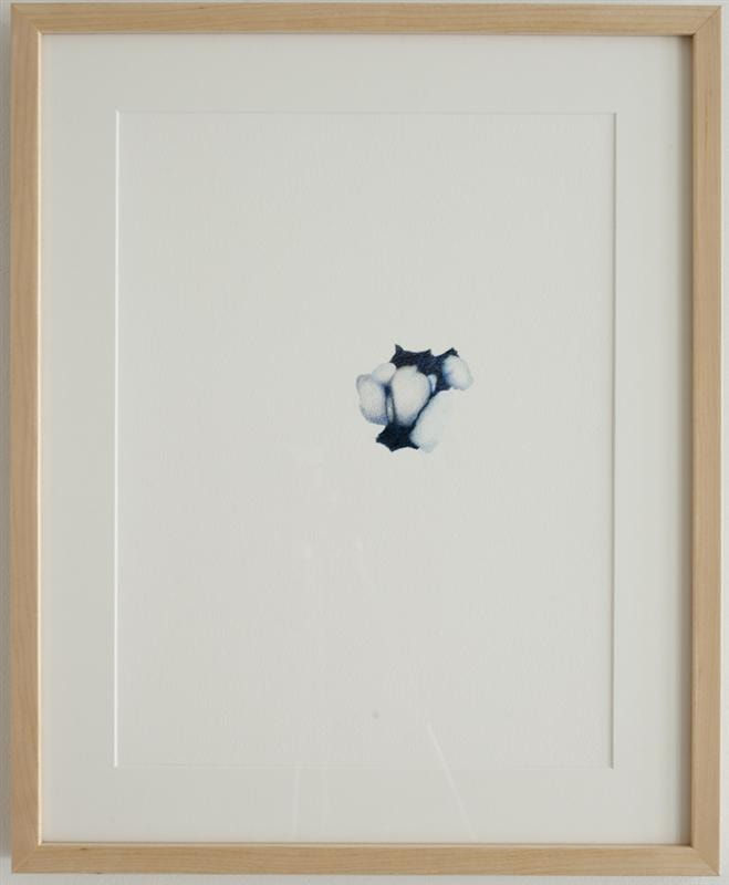 Wendy Kawabata, Tourist Eruption VII, 2011