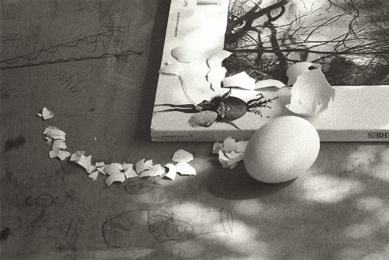 Cruz Jimenez, Pillow Stain II, 2008