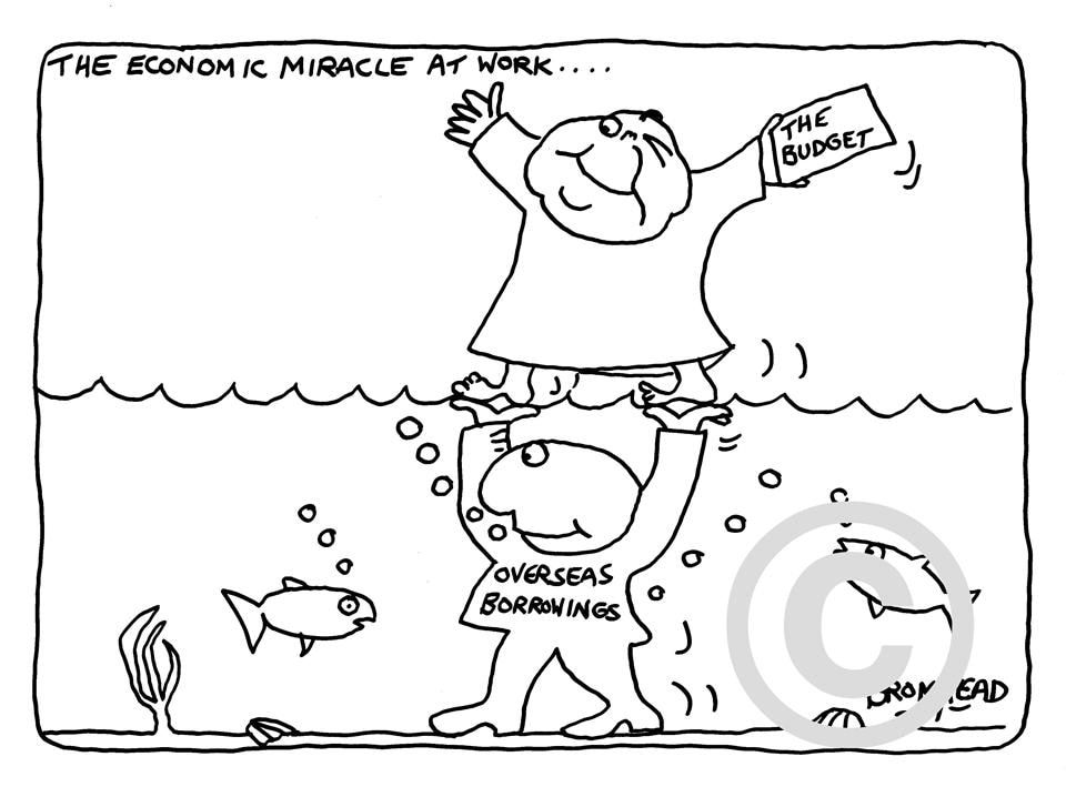 Peter Bromhead, Muldoon's 'Miracle' Budget, 1979