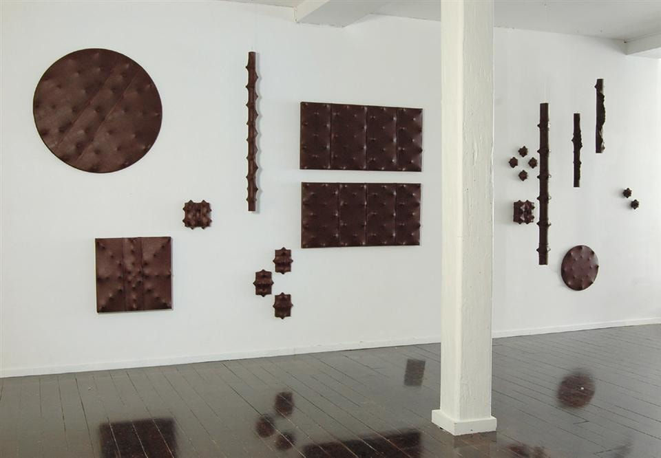 Maryann Pennington, Luscious (Installation view), 2008