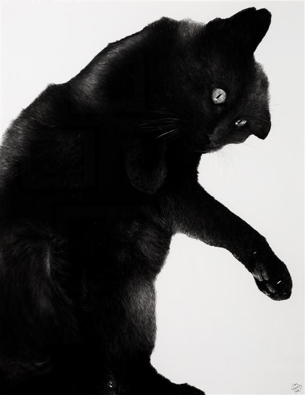 Liam Gerrard, Leroy Lumbering, 2016