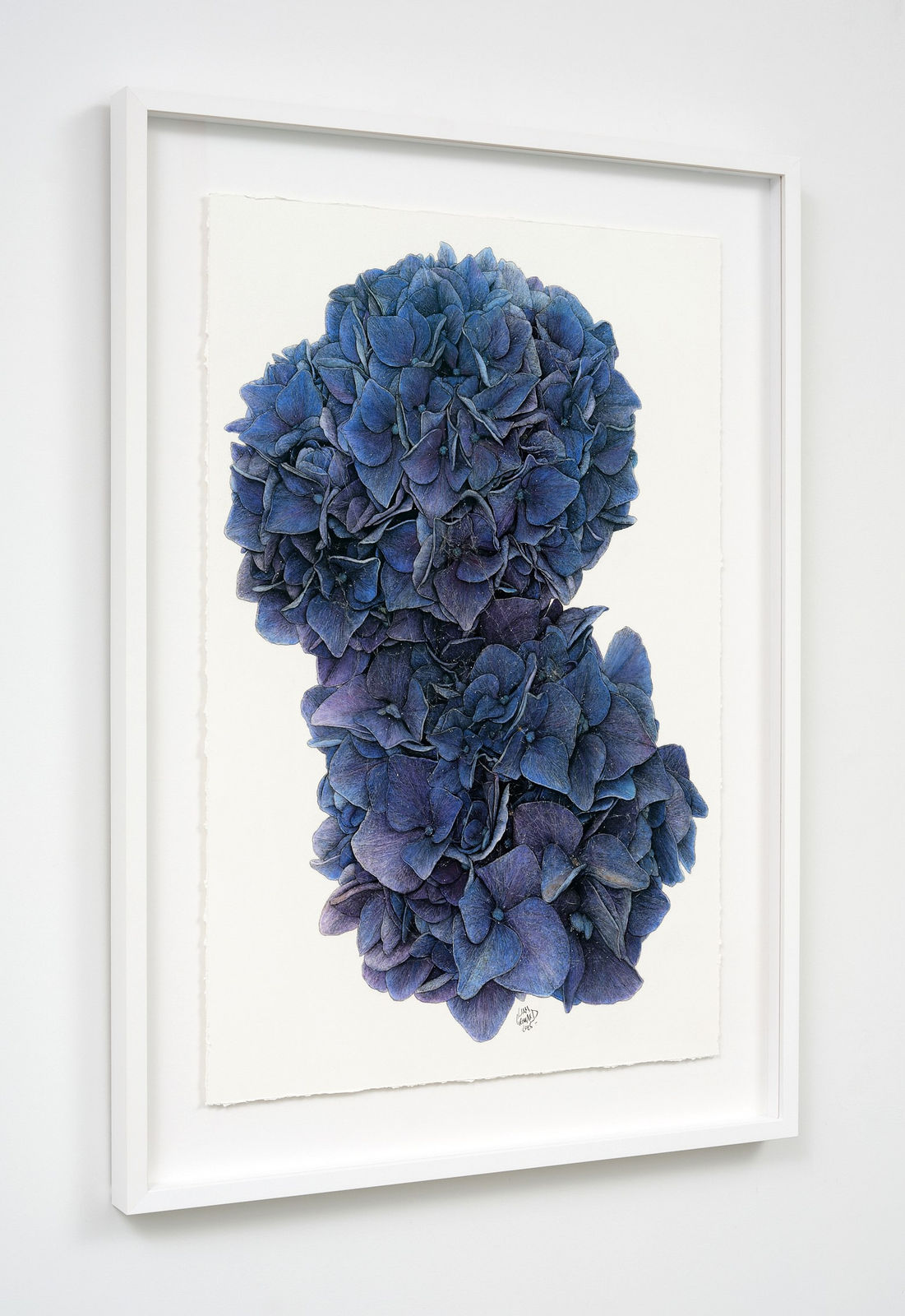 Liam Gerrard, Ayr Street, Parnell, 2025