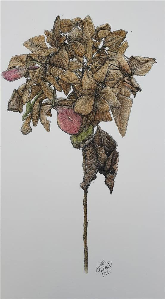 Liam Gerrard, Untitled (brown), 2019