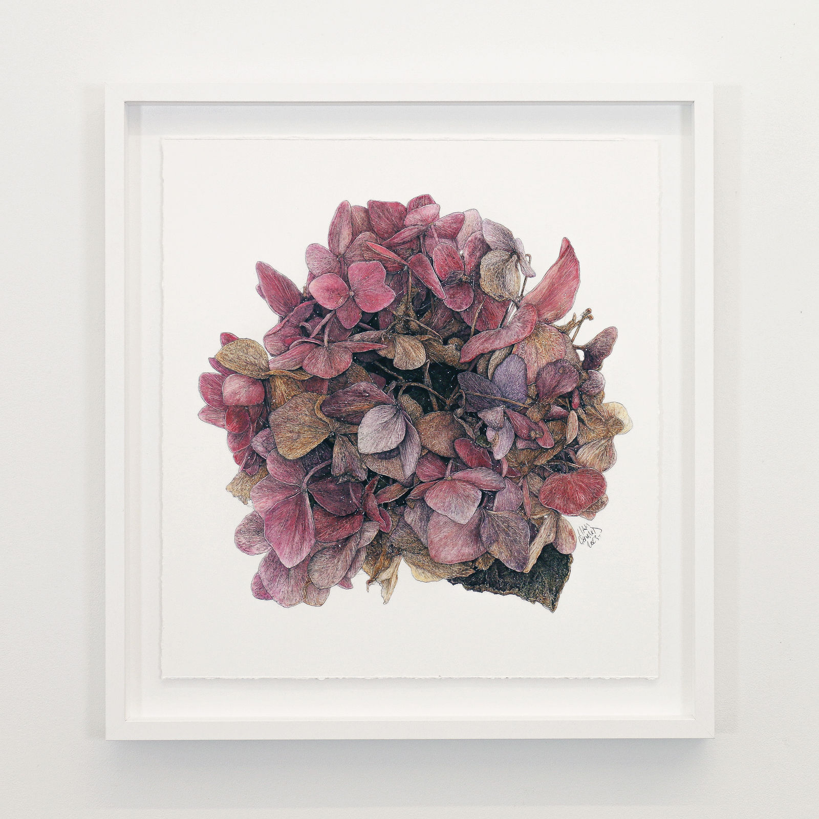 Liam Gerrard, Findlay St, Mangahwai, 2023