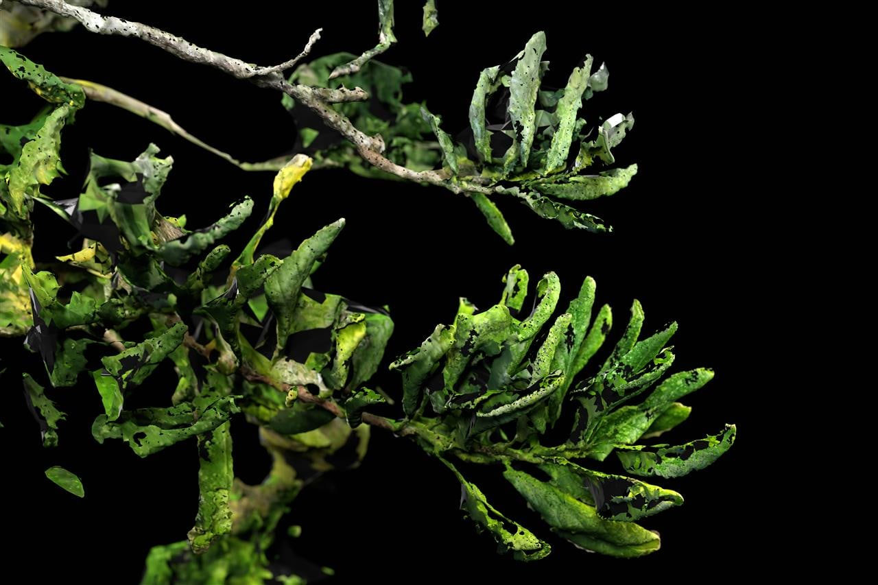 Anna Bensky, Selves (Martha) 1, 2022