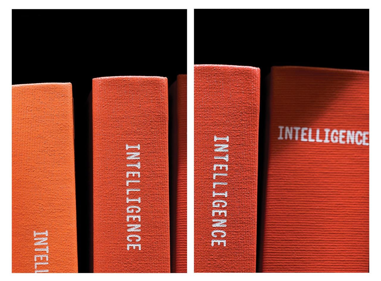 Mickey Smith, Collocation No.15 (INTELLIGENCE), 2008