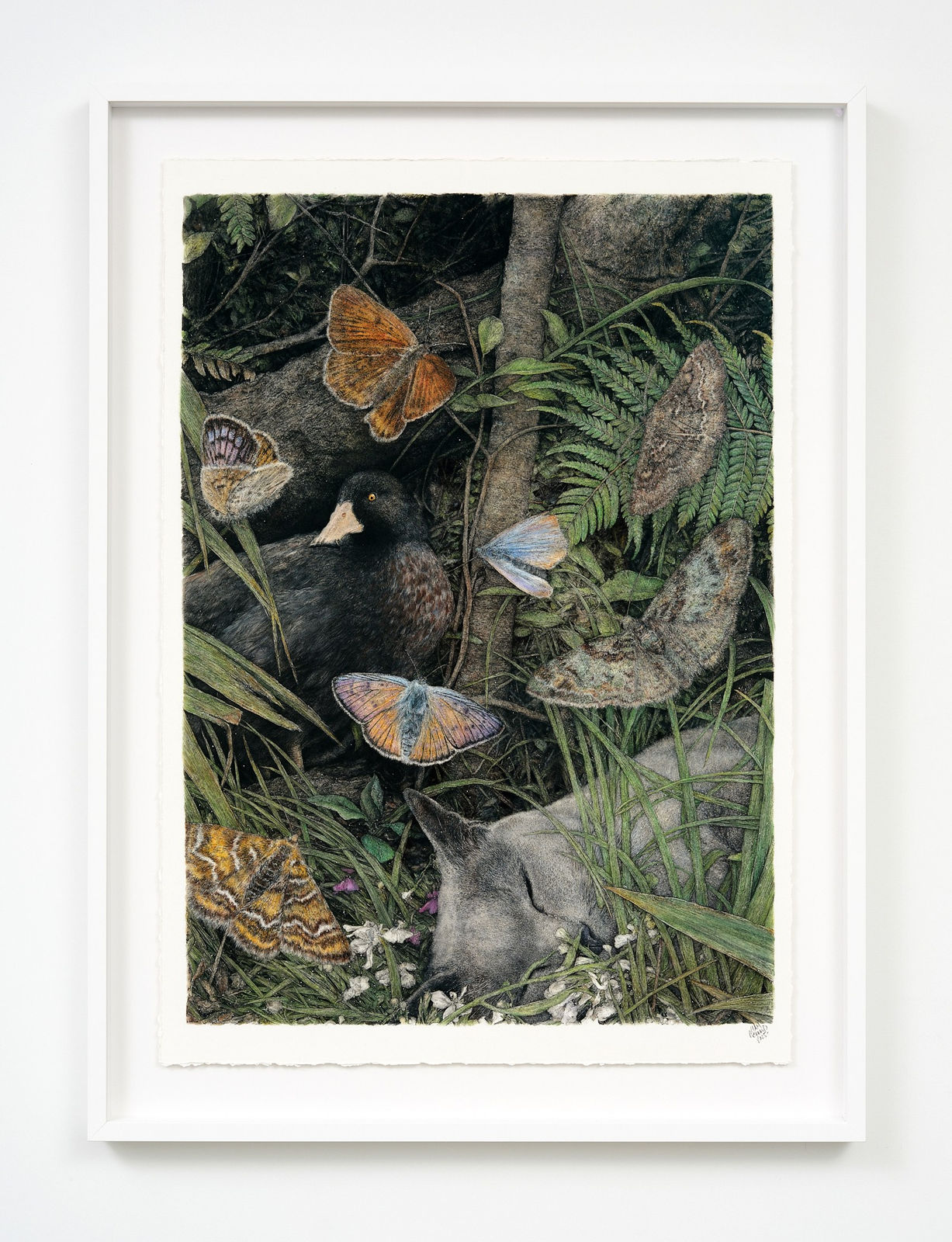 Liam Gerrard, Sottobosco I (Susu), 2025