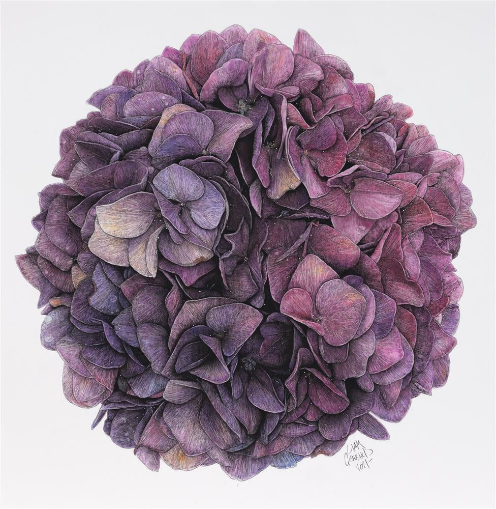 Liam Gerrard, Molesworth Drive, Mangawhai, 2021