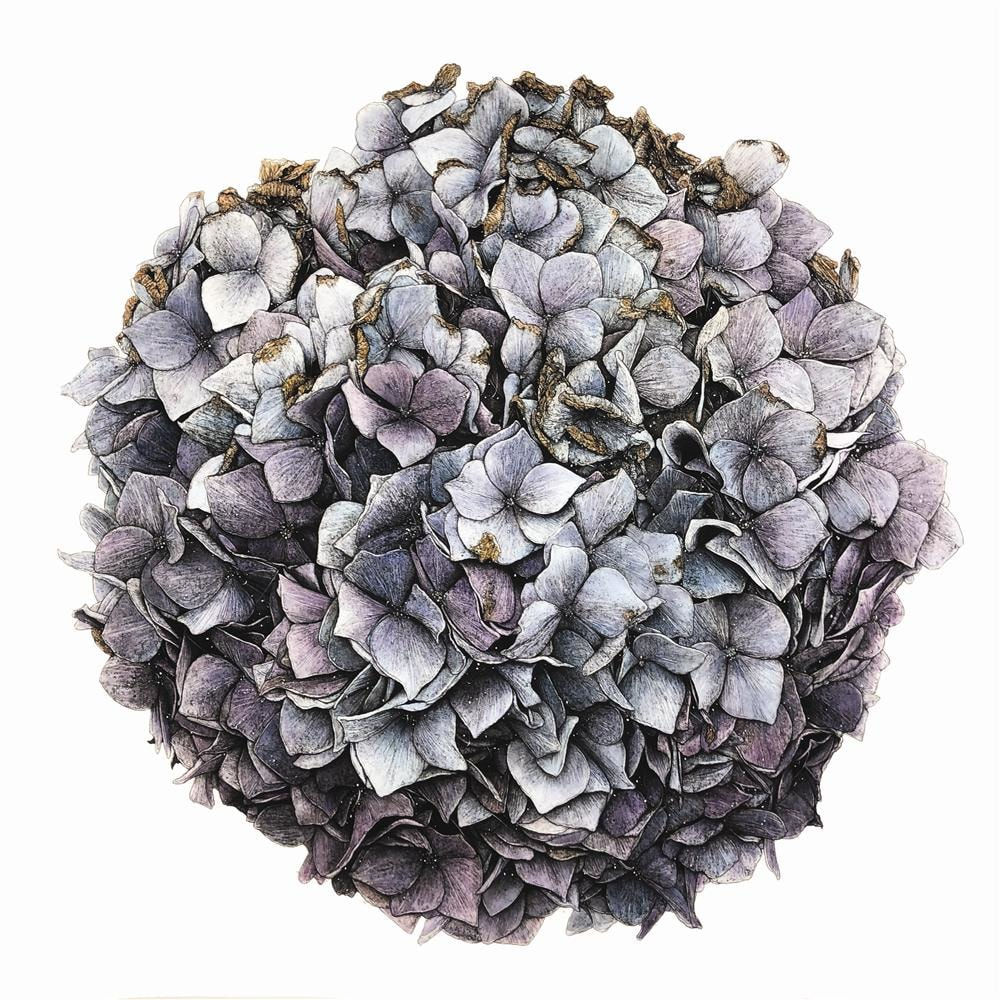 Liam Gerrard, S25, Whenuakite, 2020