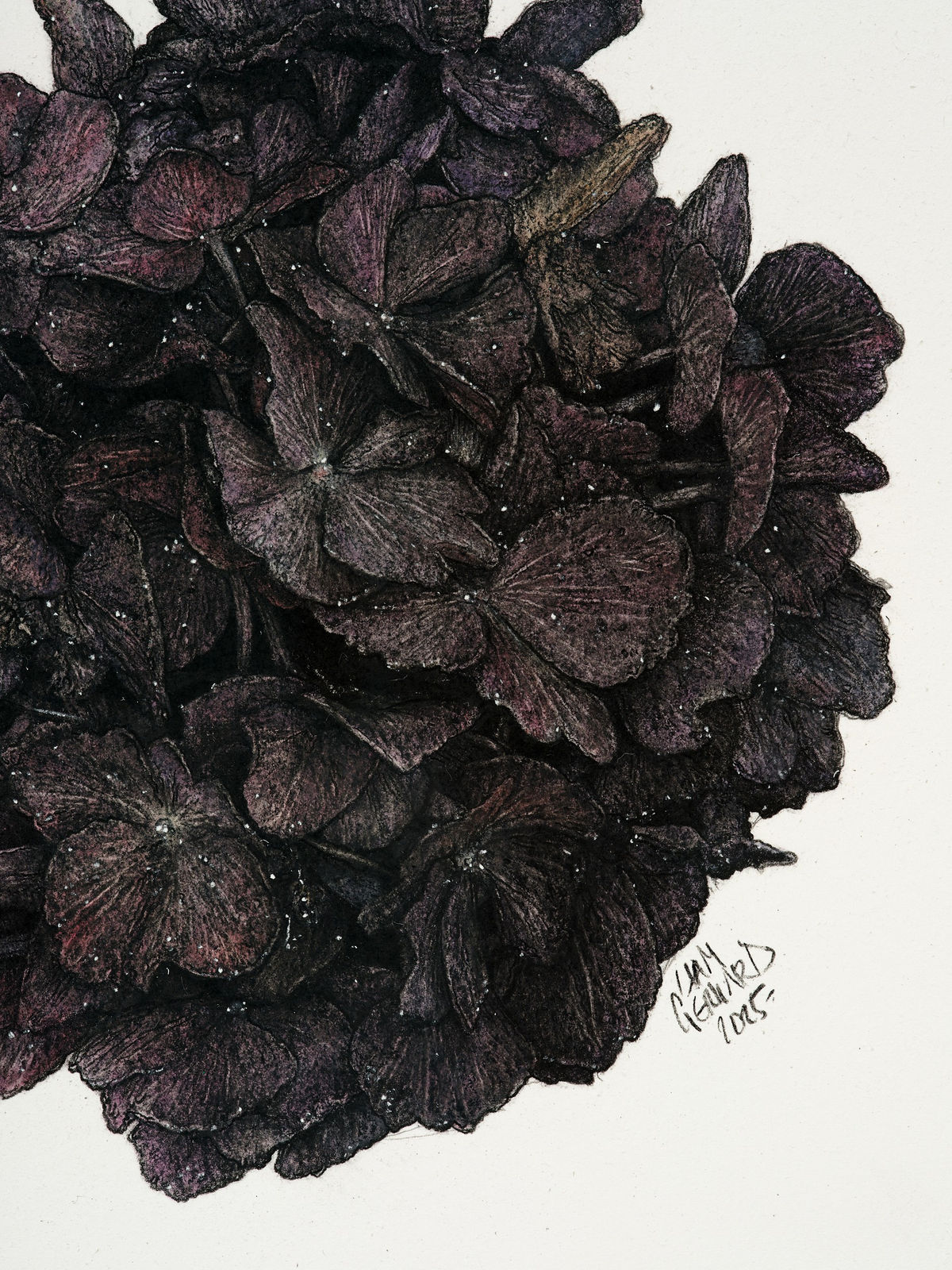 Liam Gerrard, Golden Terrace, Frankton, 2025