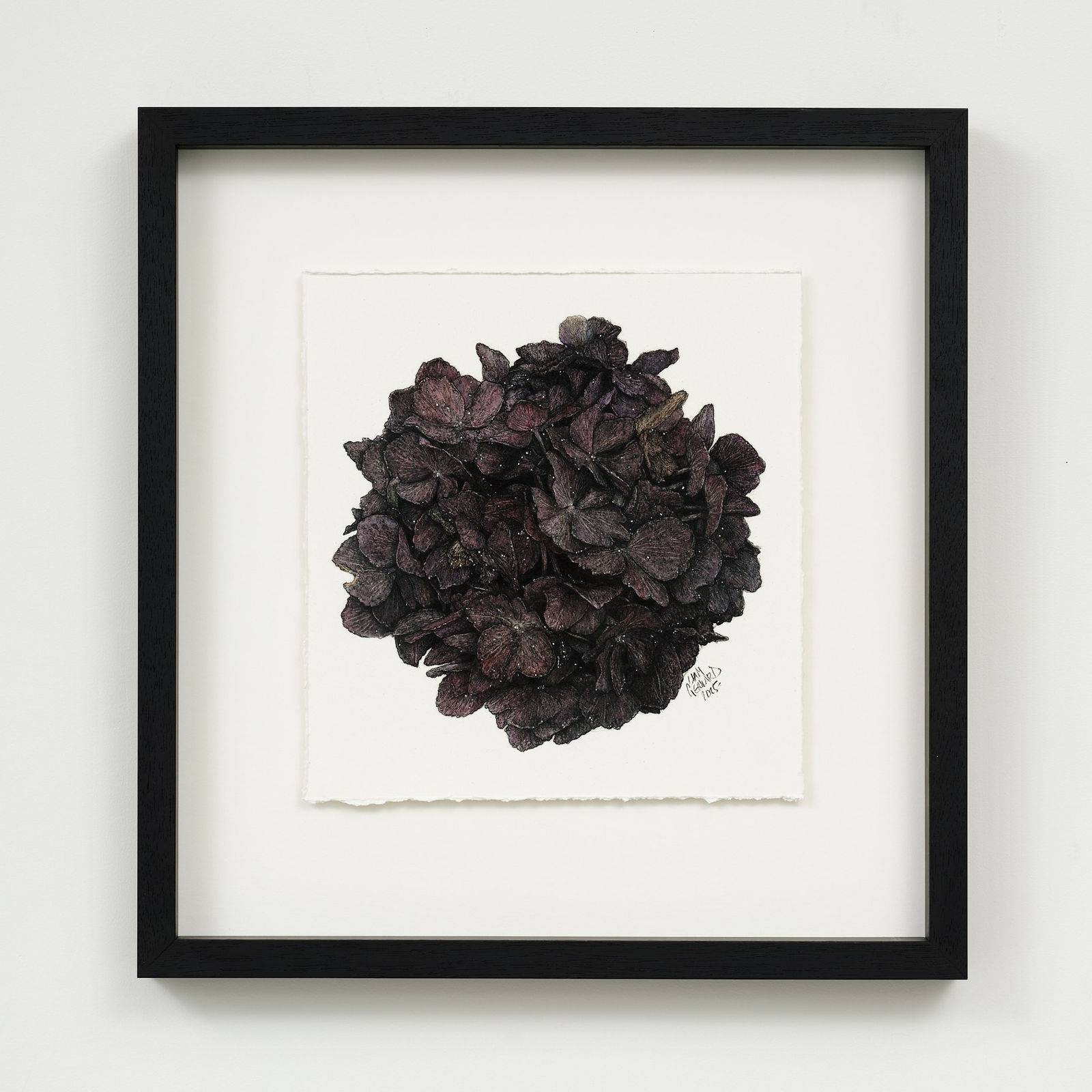 Liam Gerrard, Golden Terrace, Frankton, 2025