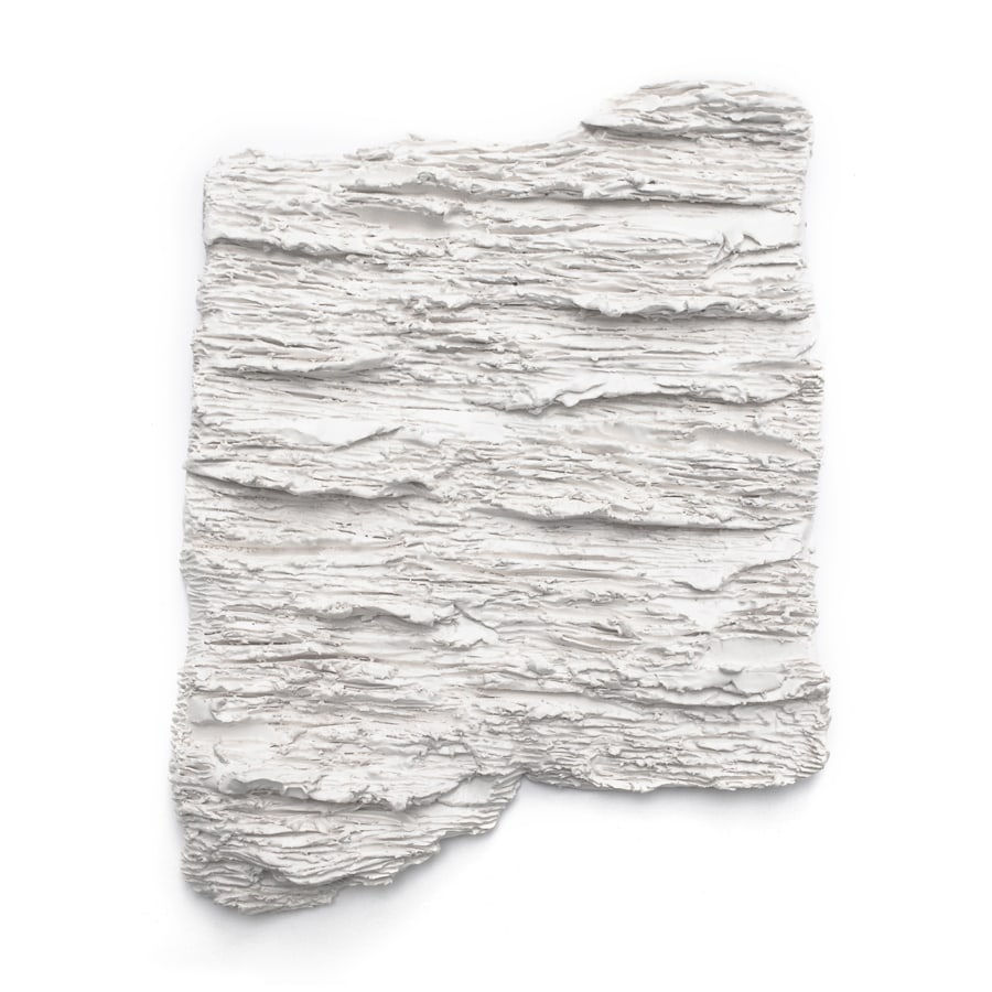 Meighan Ellis, Anthropocene I, 2016