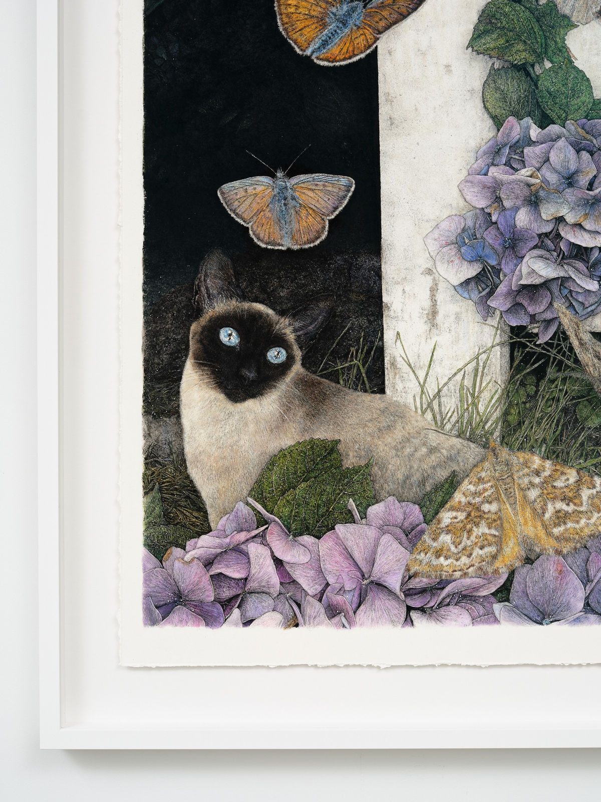 Liam Gerrard, Sottobosco II (Lily), 2025