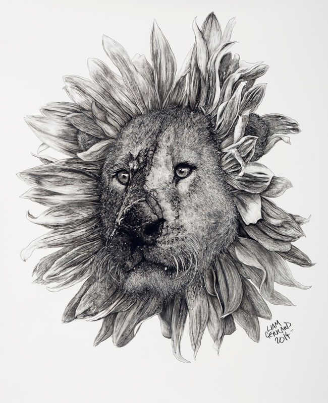 Liam Gerrard, Sunflower Lion, 2014