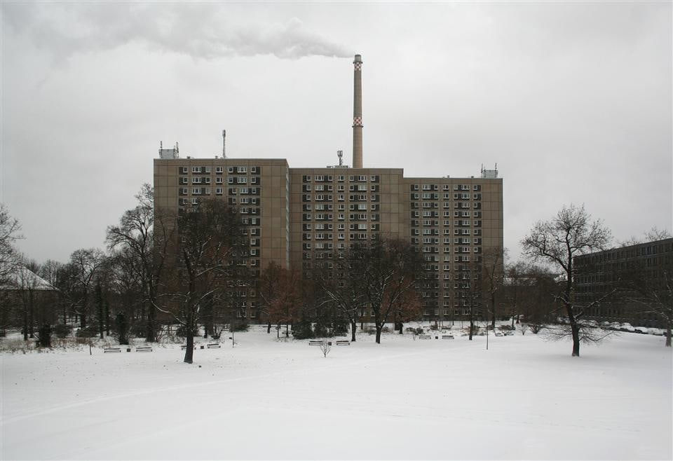 Pj Paterson, Mitte, 2015