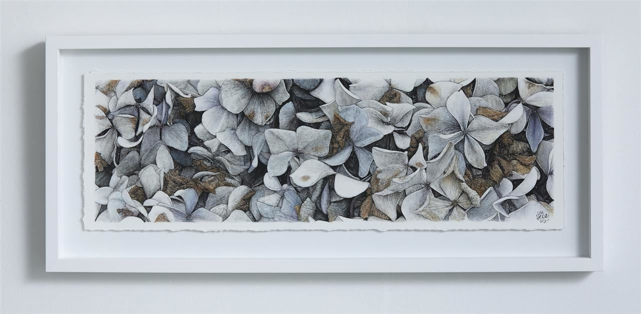 Liam Gerrard, 996 Tairua Whitianga Road, Whenuakite II, 2020