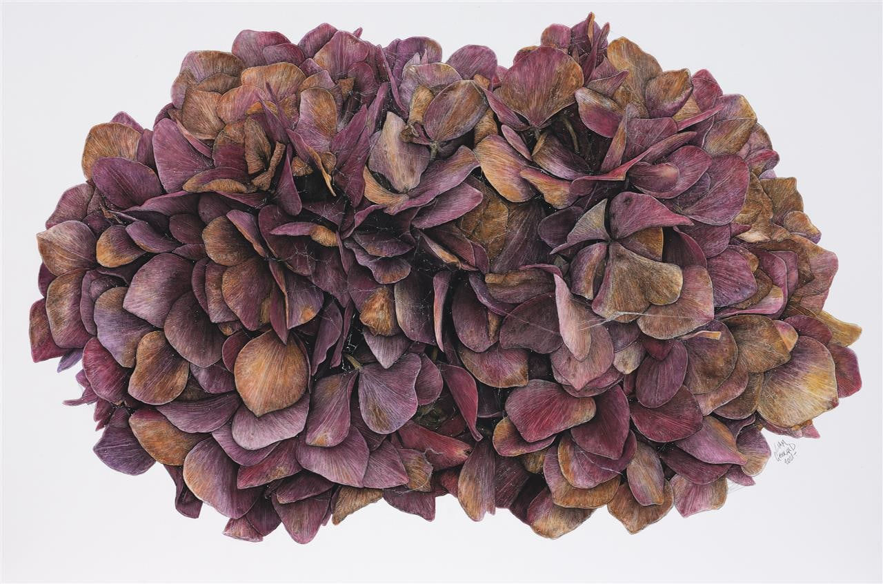 Liam Gerrard, Tapu Coroglen Road, 2021