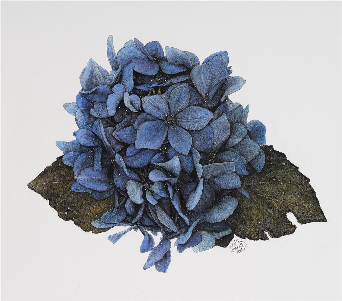 Liam Gerrard, Harsant Ave, Hahei, 2022