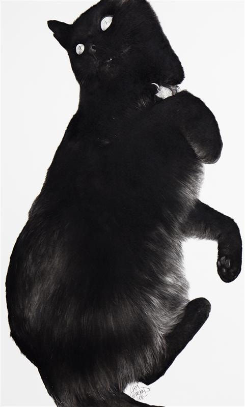 Liam Gerrard, Leroy Twisting, 2016