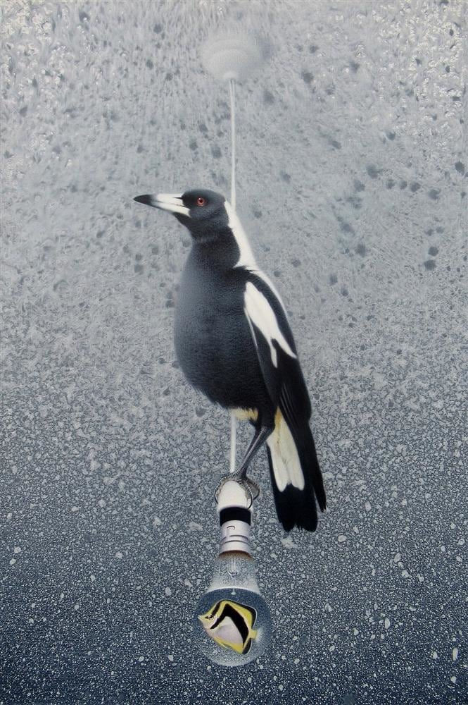 Paul Martinson, Black and White Light, 2018