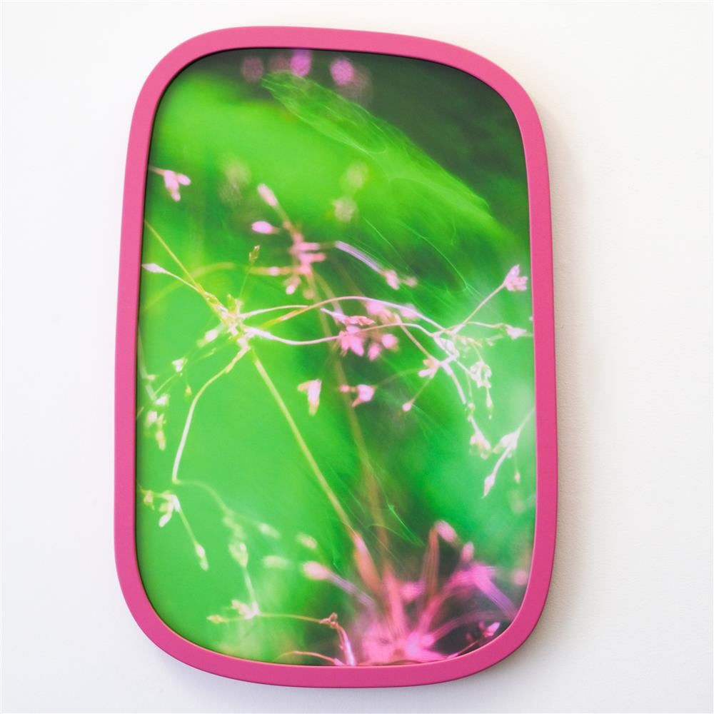 Petra Scheuber, Dreamland N°8: Wonderland, 2021