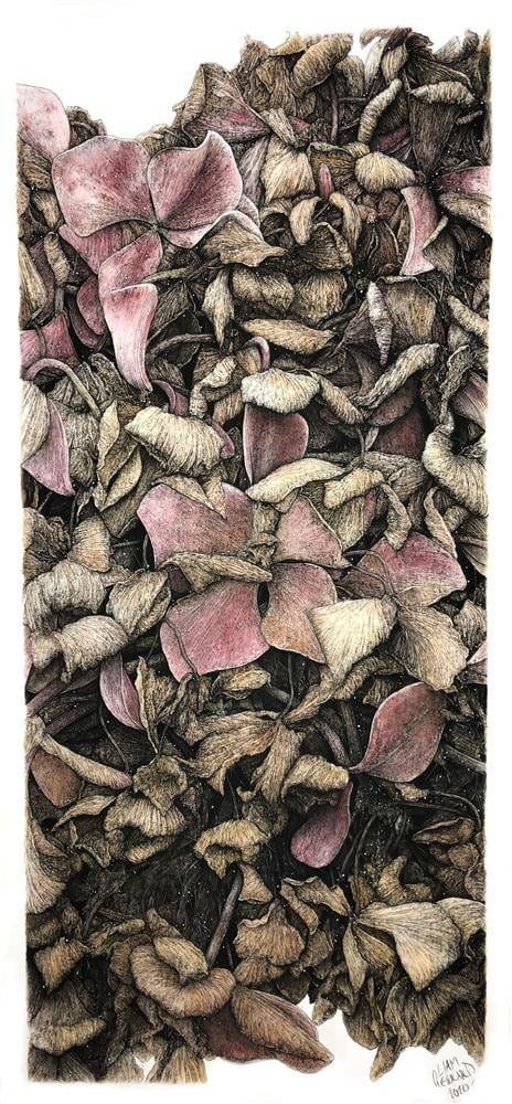 Liam Gerrard, Mt. Eden, Auckland, 2020