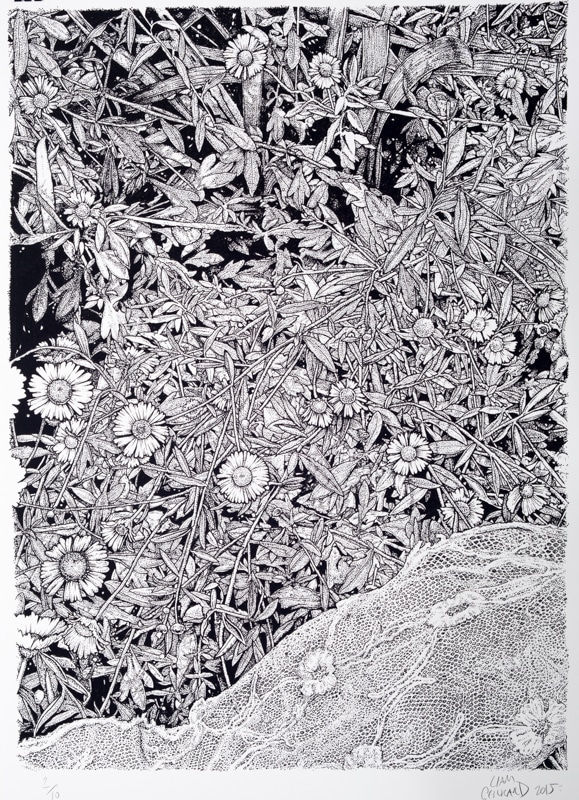 Liam Gerrard, Untitled (Lace) Print, 2015