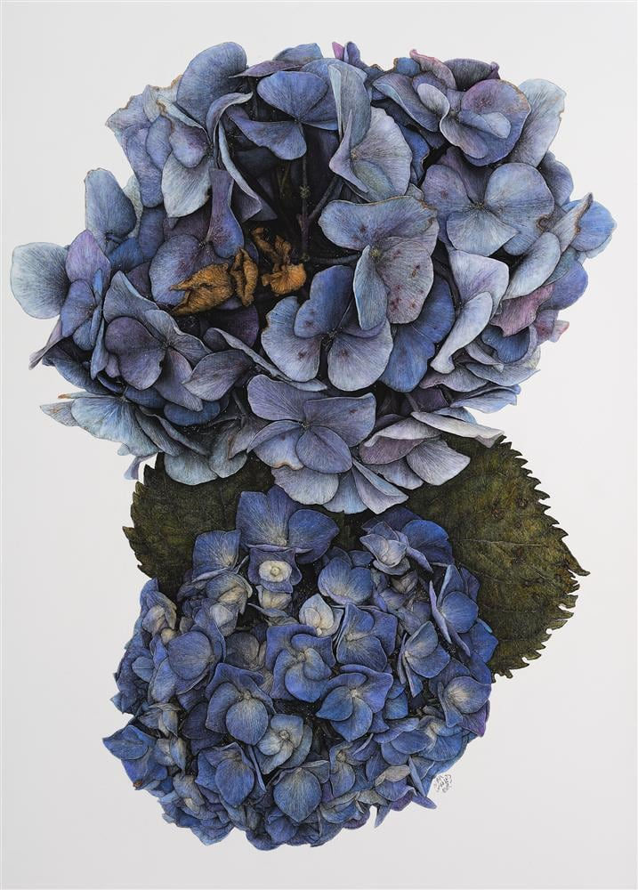 Liam Gerrard, Whenuakite River, 2022