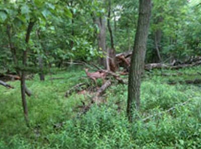 Young Sun Han, sooner later #19 (detail), 2012