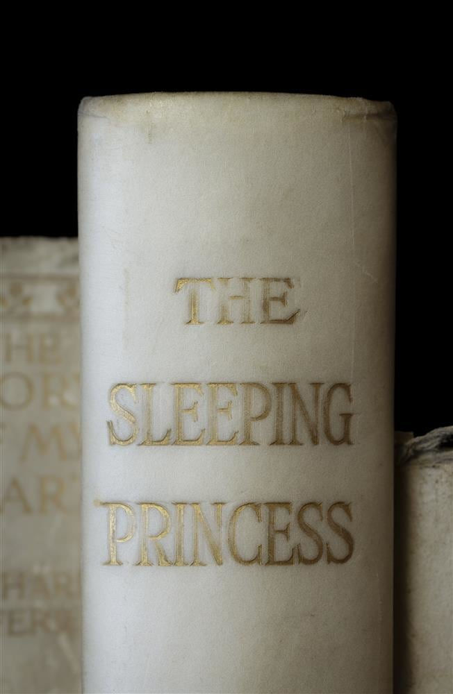 Mickey Smith, THE SLEEPING PRINCESS, 2023