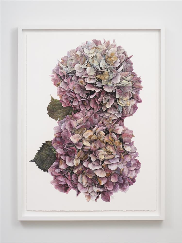 Liam Gerrard, Omana Ave, Epsom, 2023