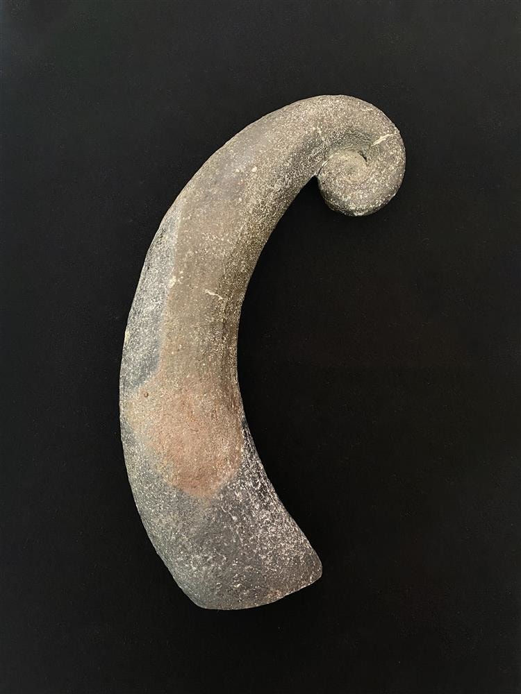 Wi Taepa, Ponga, 1995