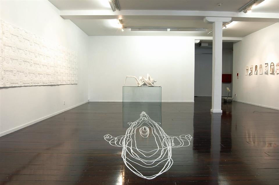 Reflecting Skin, RS Gallery Shot, 2008